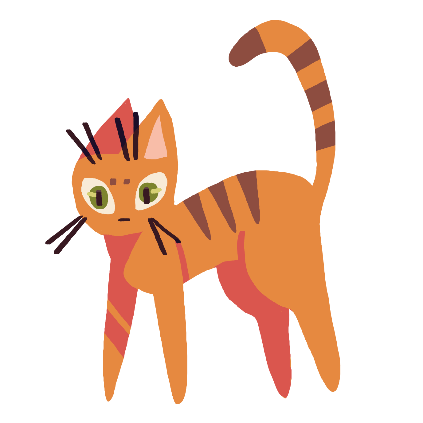 Katze