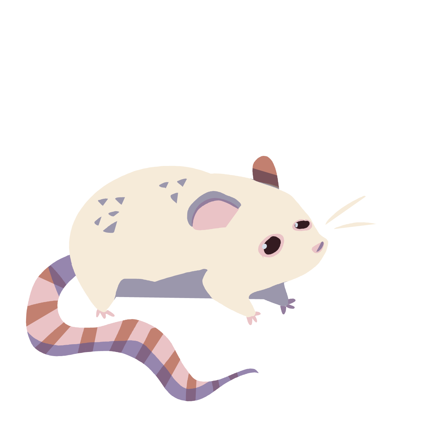 Maus
